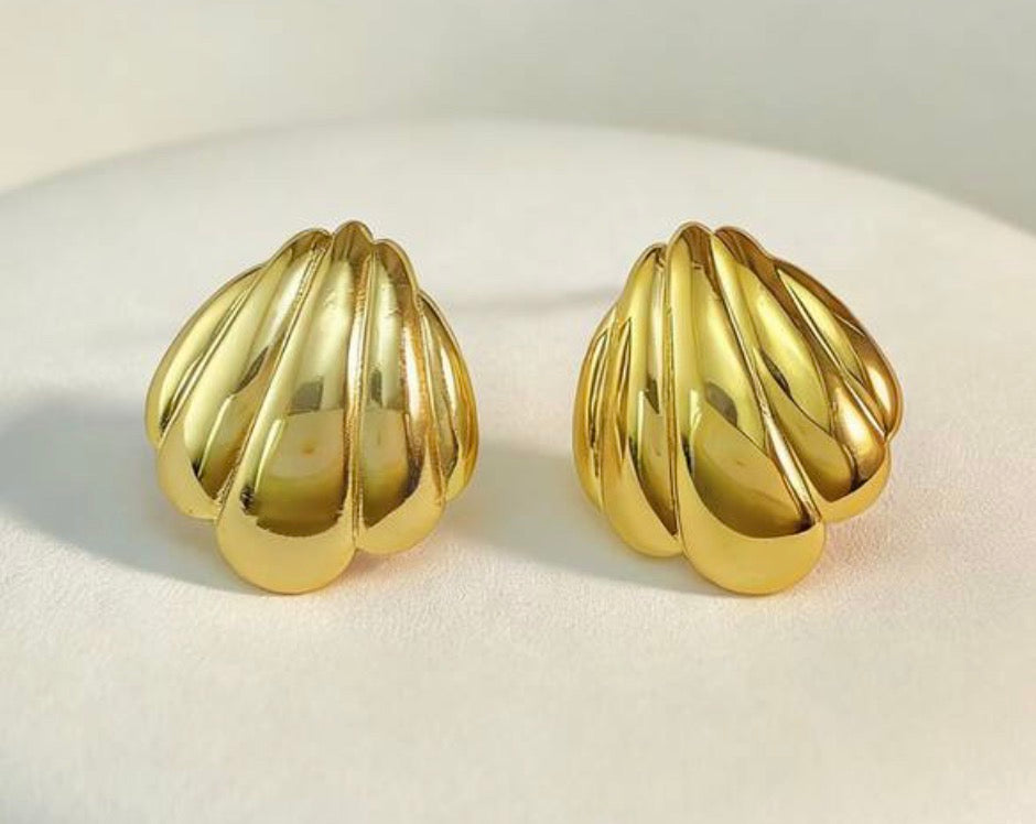 Conchas de mar